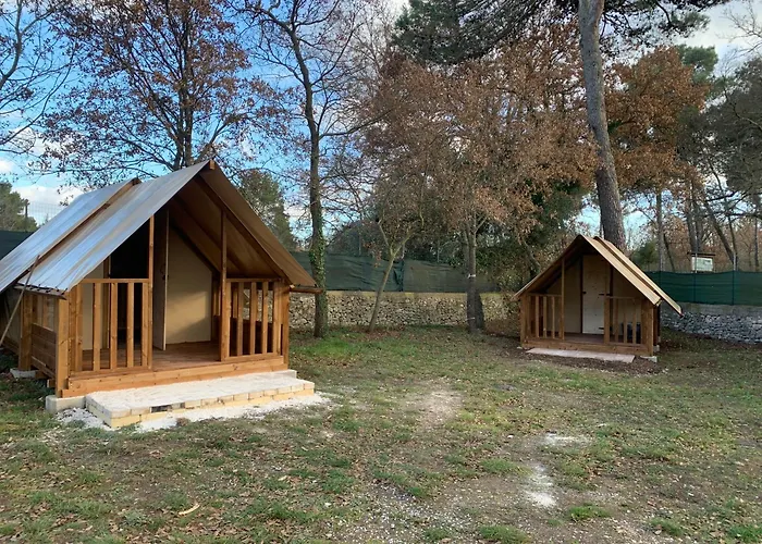 Hotel adatto agli animali: Villaggio Camping Bosco Selva